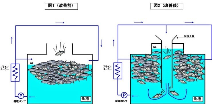 鰹一本釣り船 凍結装置